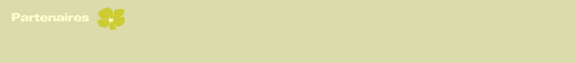 Nos Partenaires