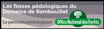 Etude des fosses pédologiques du Domaine de Rambouillet - Nouveau site sur le parcours pédologique et les analyses scinetifiques des fosses pédologiques.